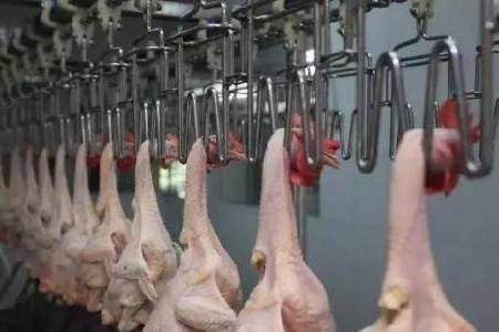 俄对华禽肉出口大增 中国跃居俄肉类进口国之首